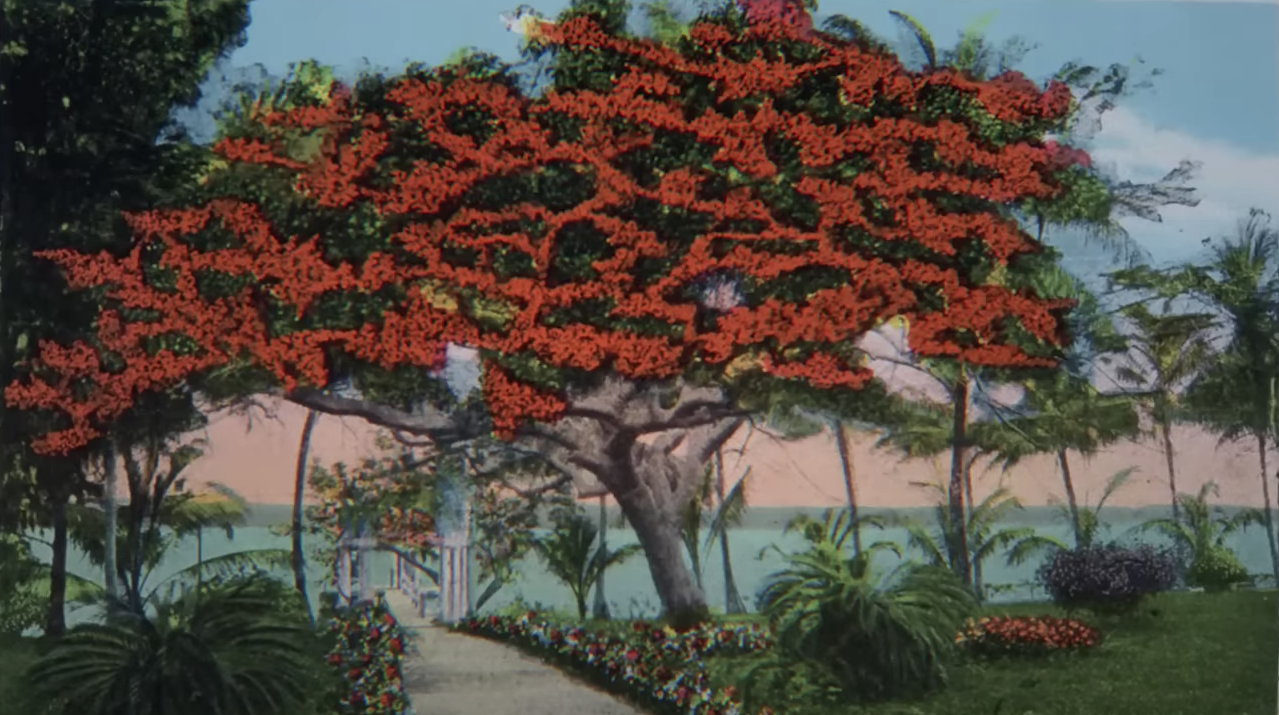 Cuadro árbol de la vida turquesa y magenta  Arbol de la vida, Pintura del  árbol de la vida, Arte de árboles