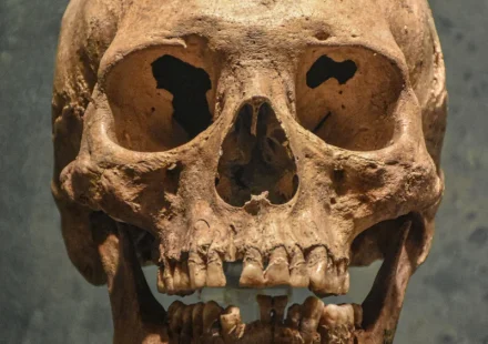 Calavera