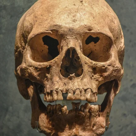 Calavera