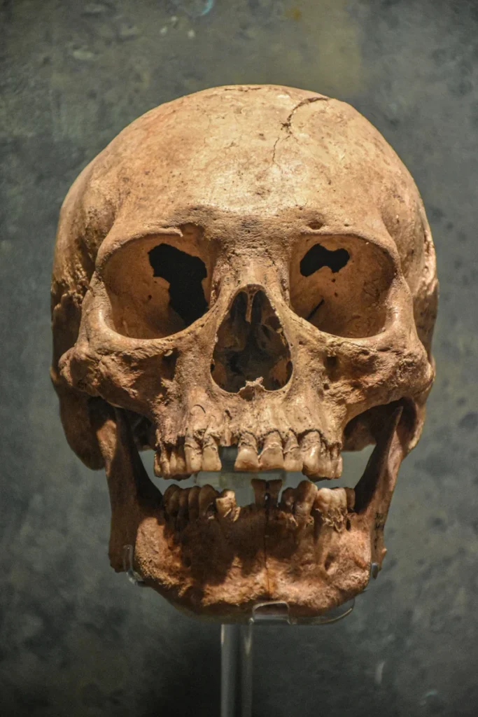 Calavera