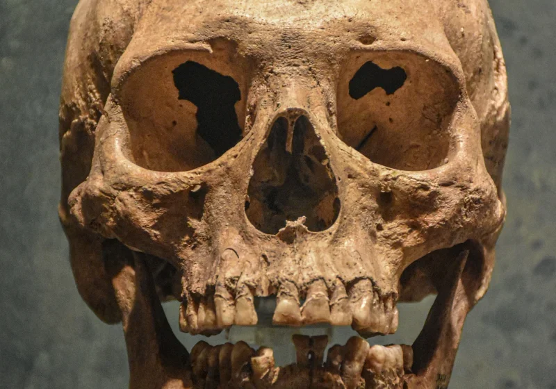 Calavera