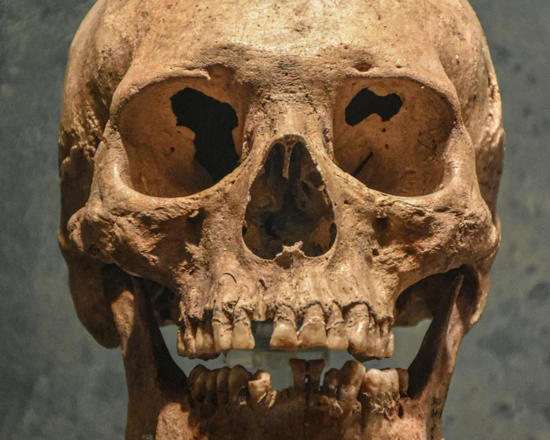 Calavera